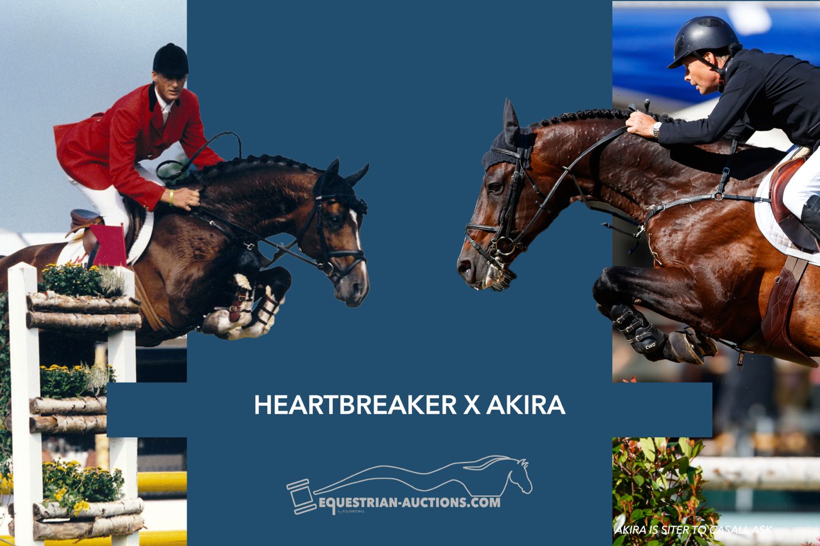 Embryo (Heartbreaker x Akira) - image 1
