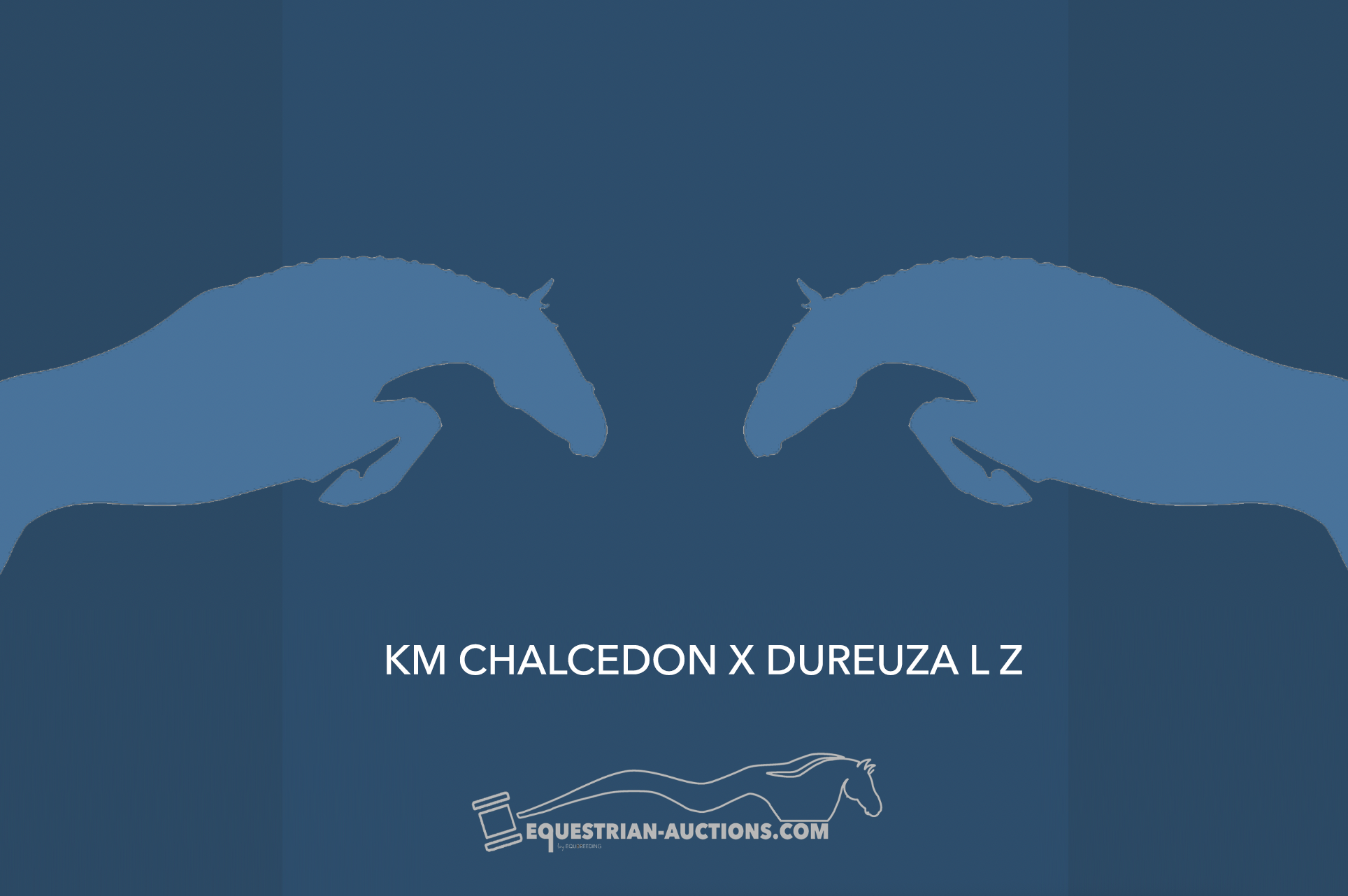 Embryo (KM Chalcedon x Dureuza L Z) - image 1