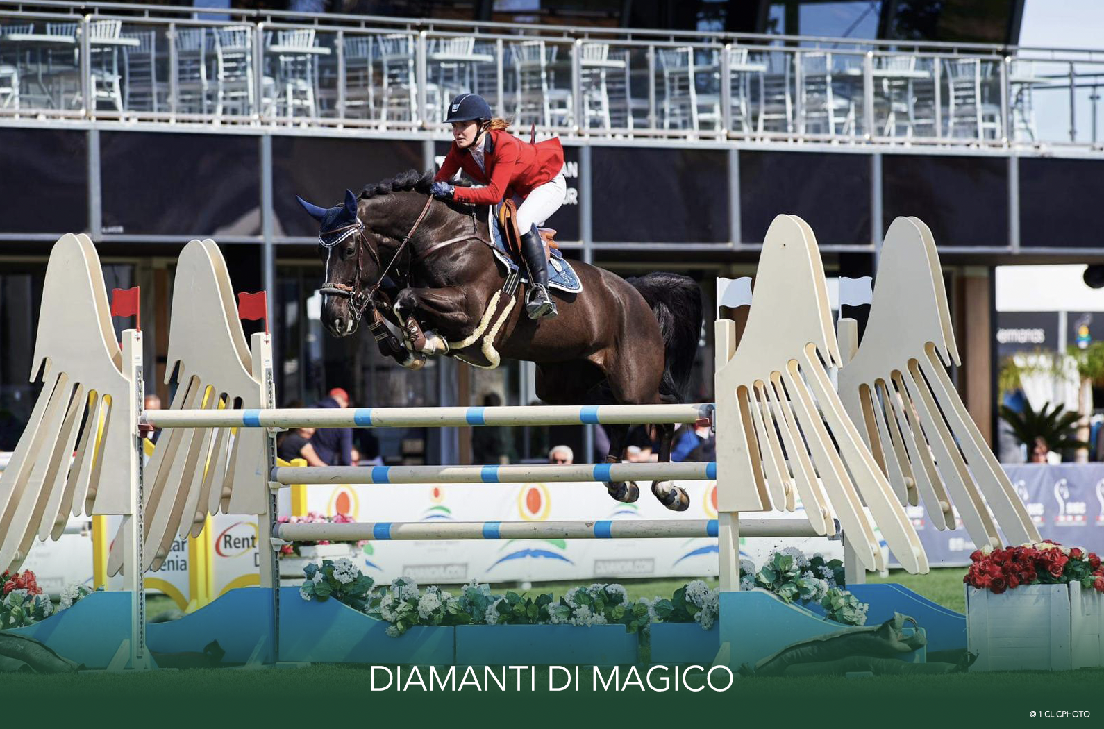 Embryo (United Touch S x Diamanty Di Magico Z) - image 2