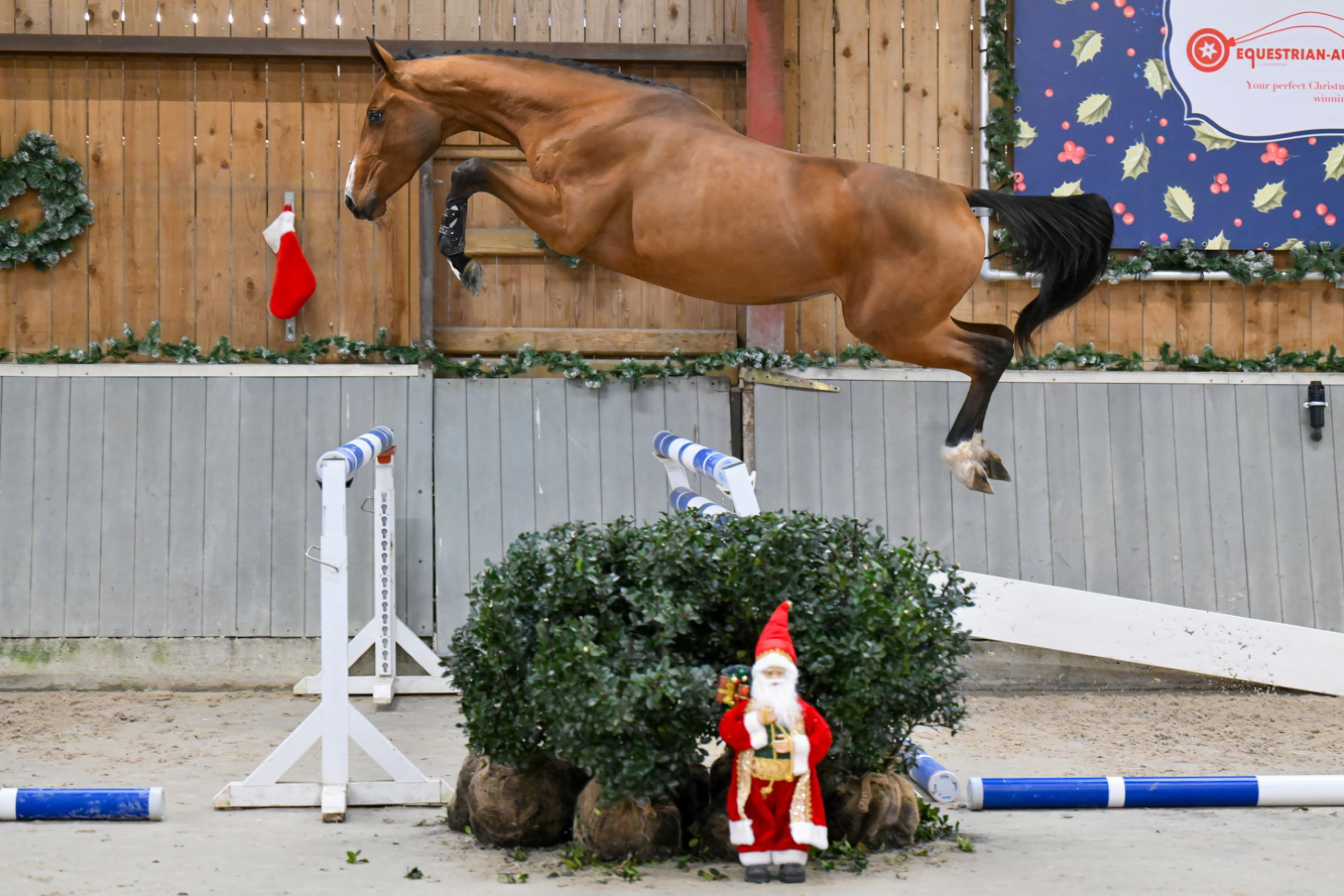Dorothee Vh Beeckhof