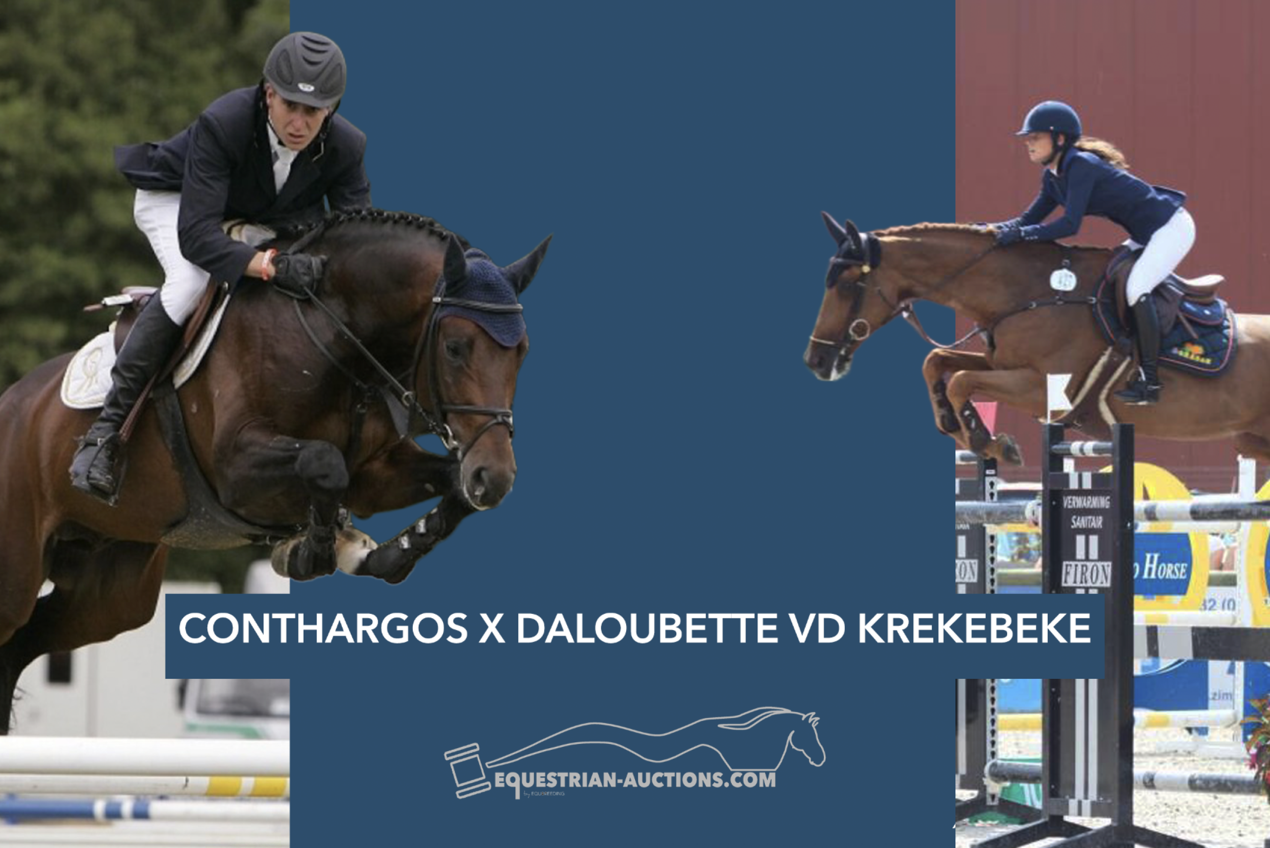 Embryo (conthargos x Daloubette van de krekebeke)