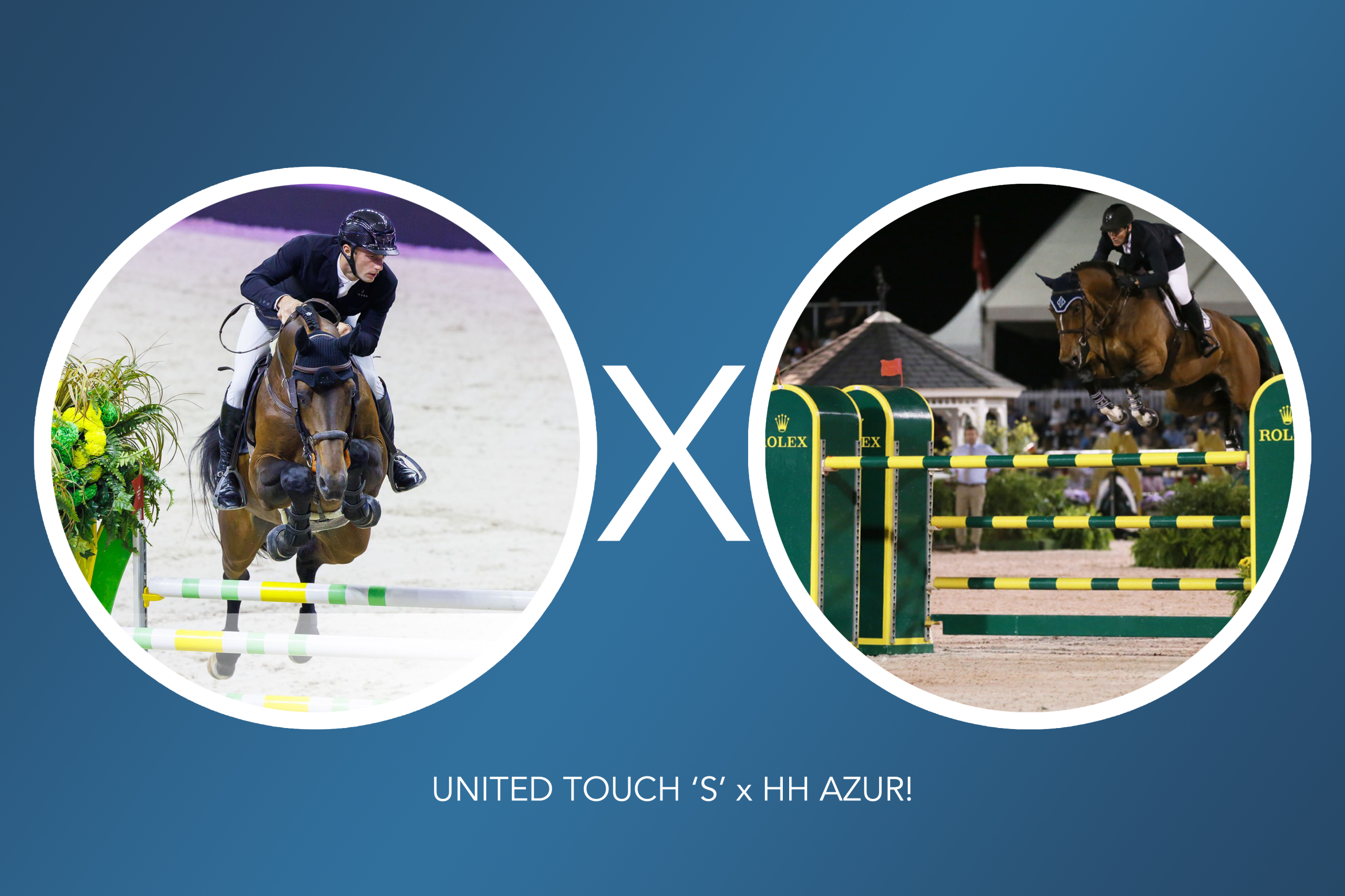 embryo (United Touch x HH Azur)