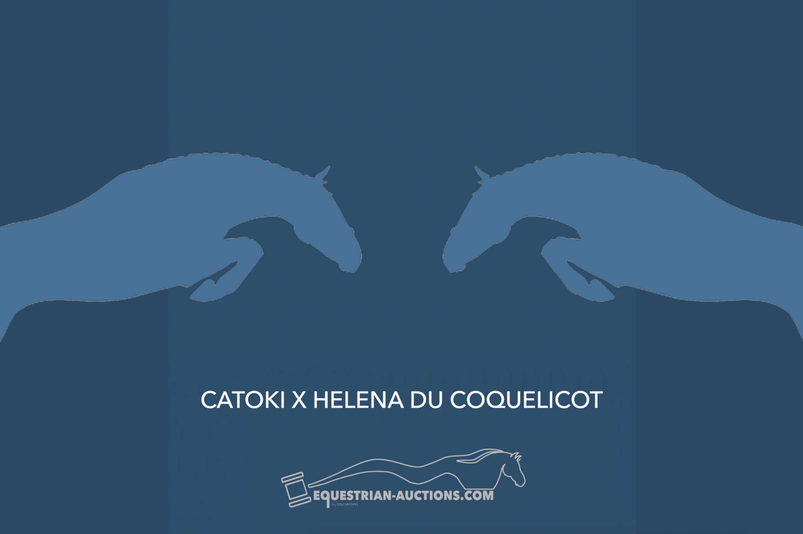 Embryo (Catoki x Helena du Coquelicot)