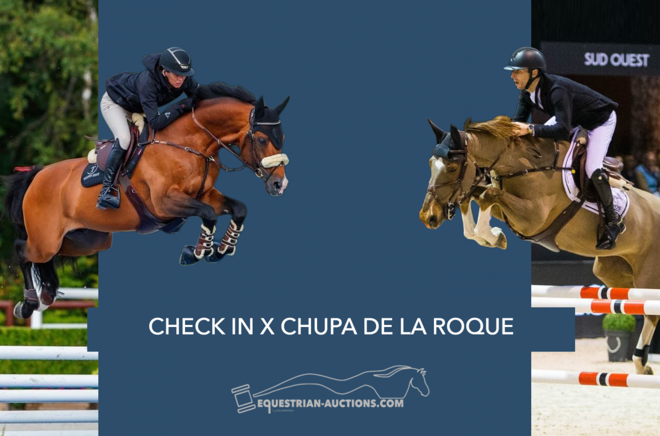 Embryo (Check in x Chupa De La Roque Z)