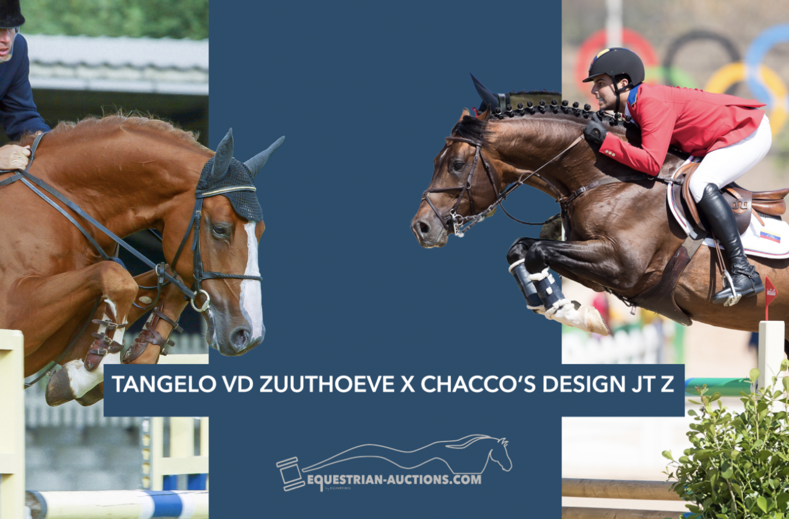 Embryo (Tangelo van de zuuthoeve x Chacco's design jt z)