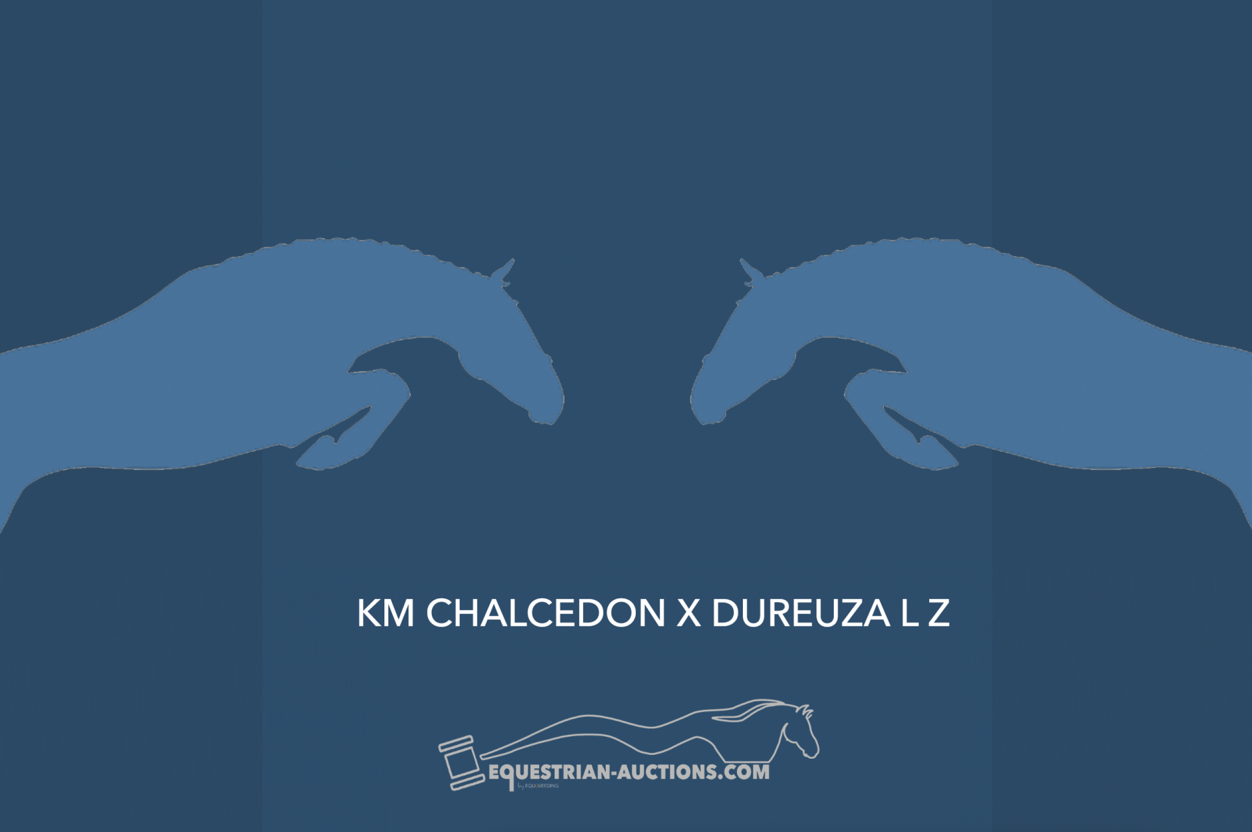 Embryo (KM Chalcedon x Dureuza L Z)