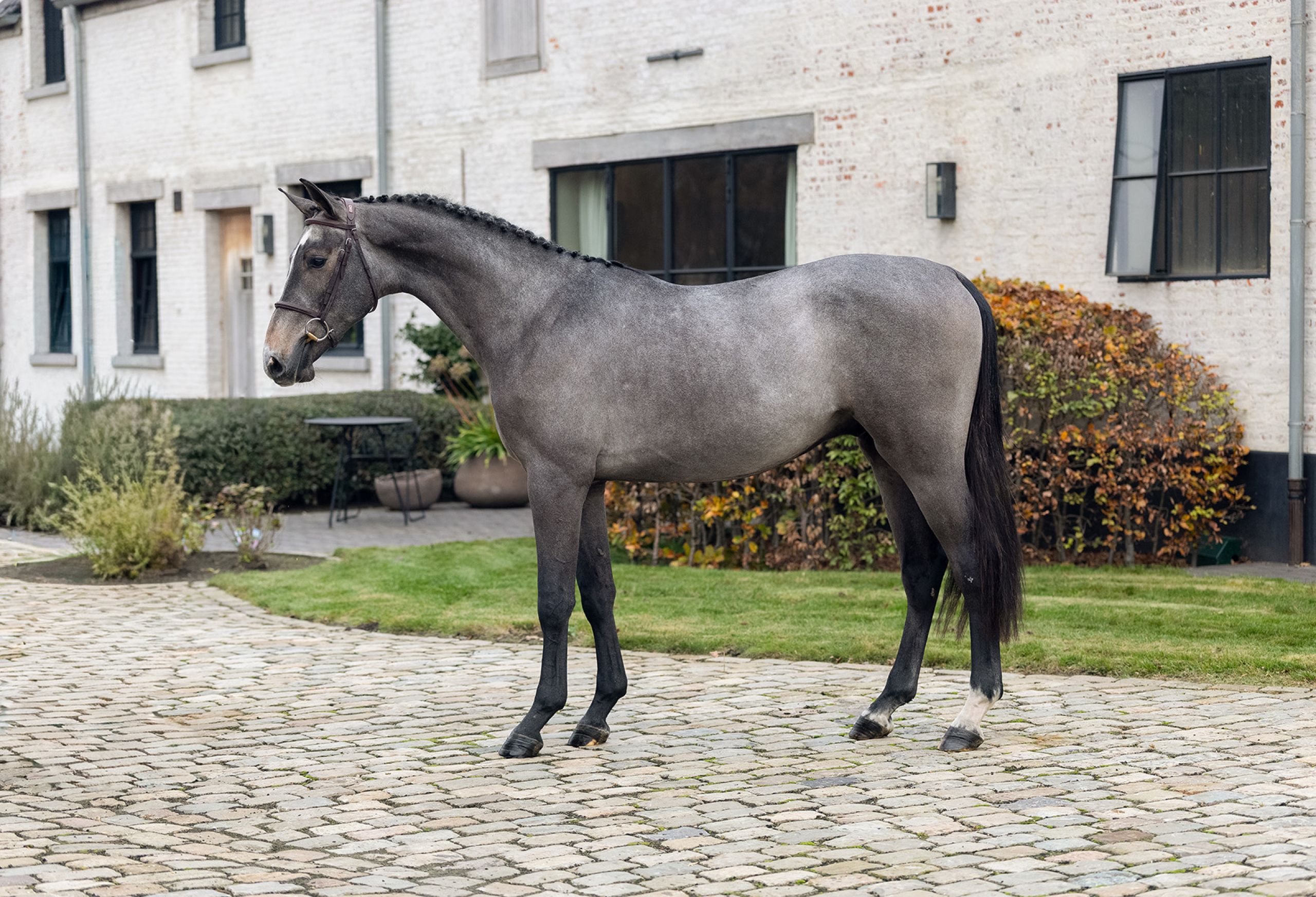 Carlensky vh Beeckhof z - image 2