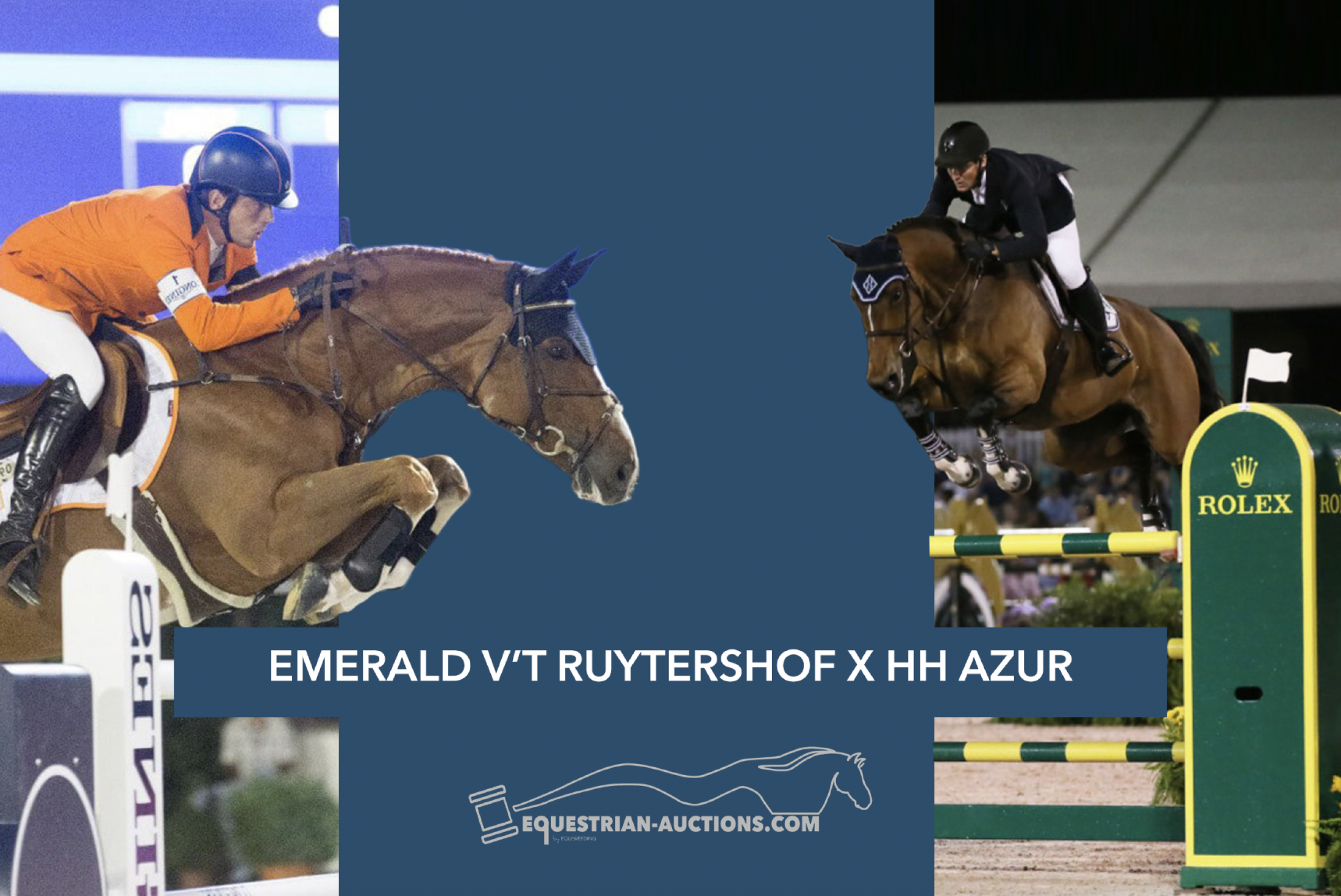 Embryo (Emerald Van 't Ruytershof x Hh azur)